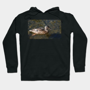 'ello Duck Hoodie